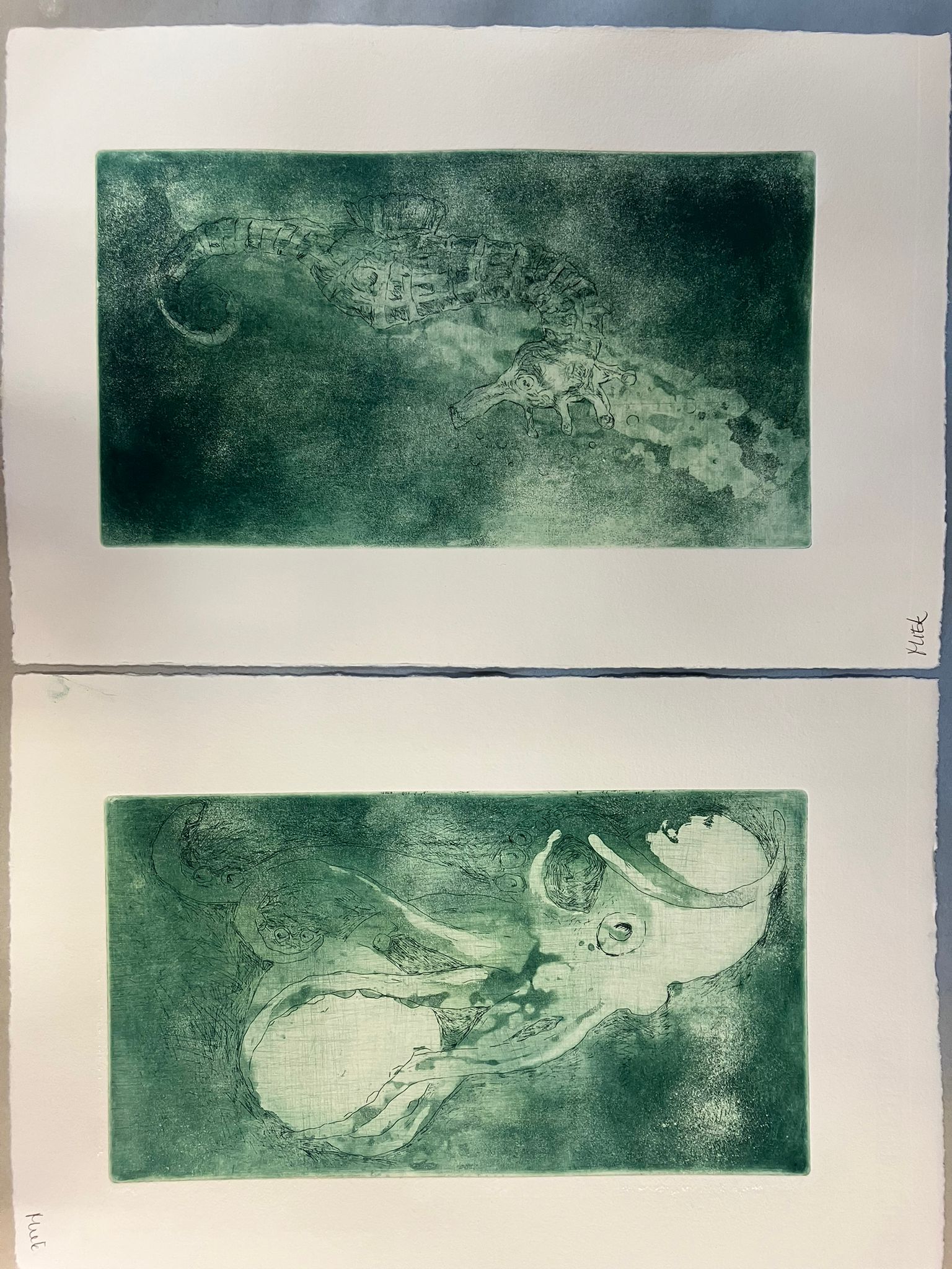 Grafiek